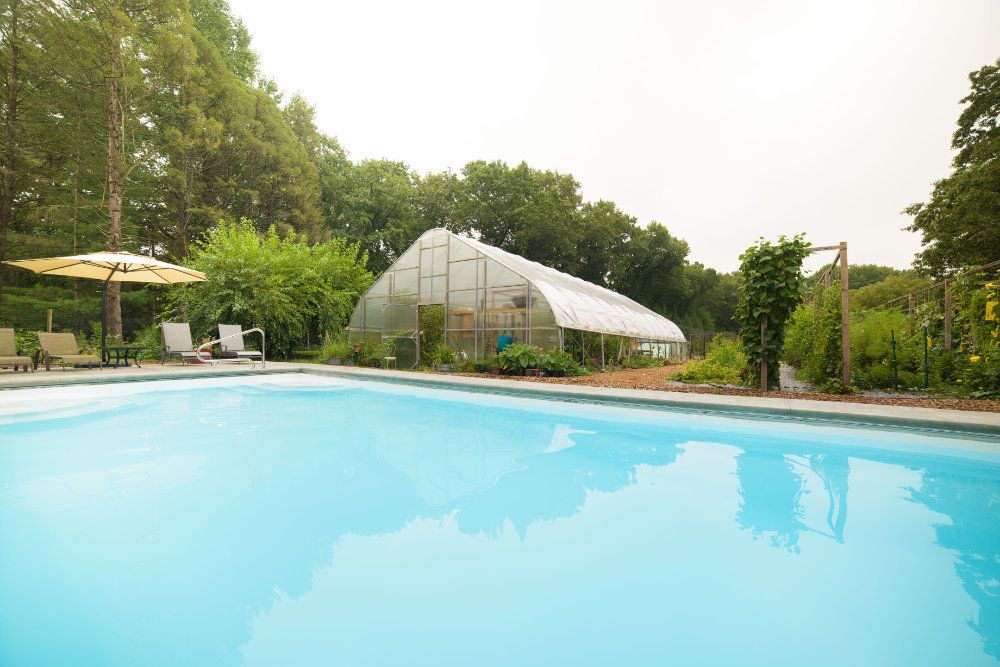 The pool sits tranquilly in front of the hoophouse and organic garden.