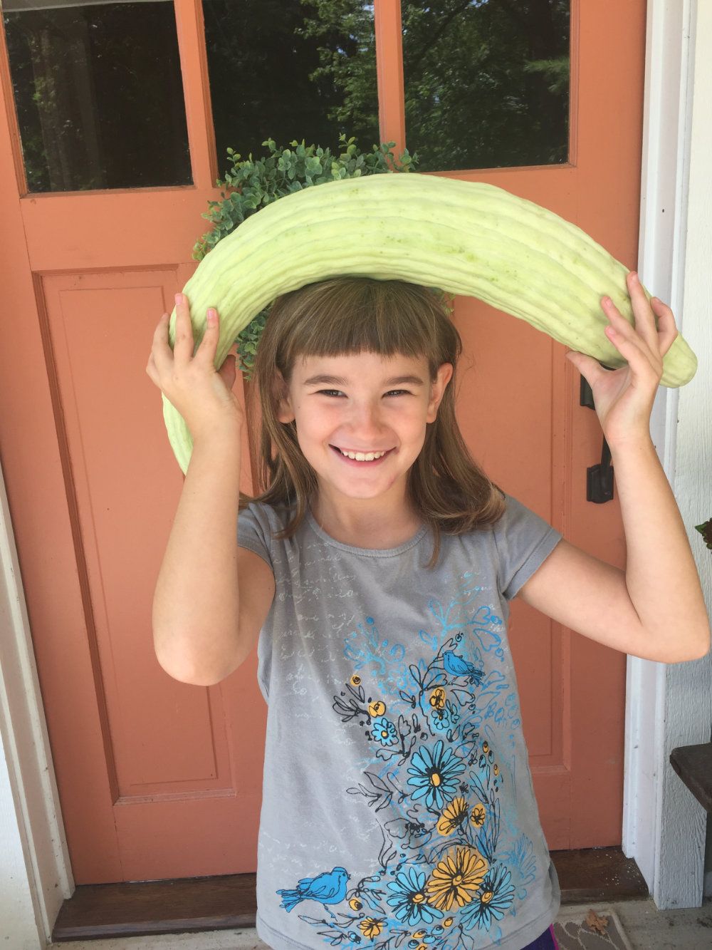 A child hold a huge home grown cucumber over their head.