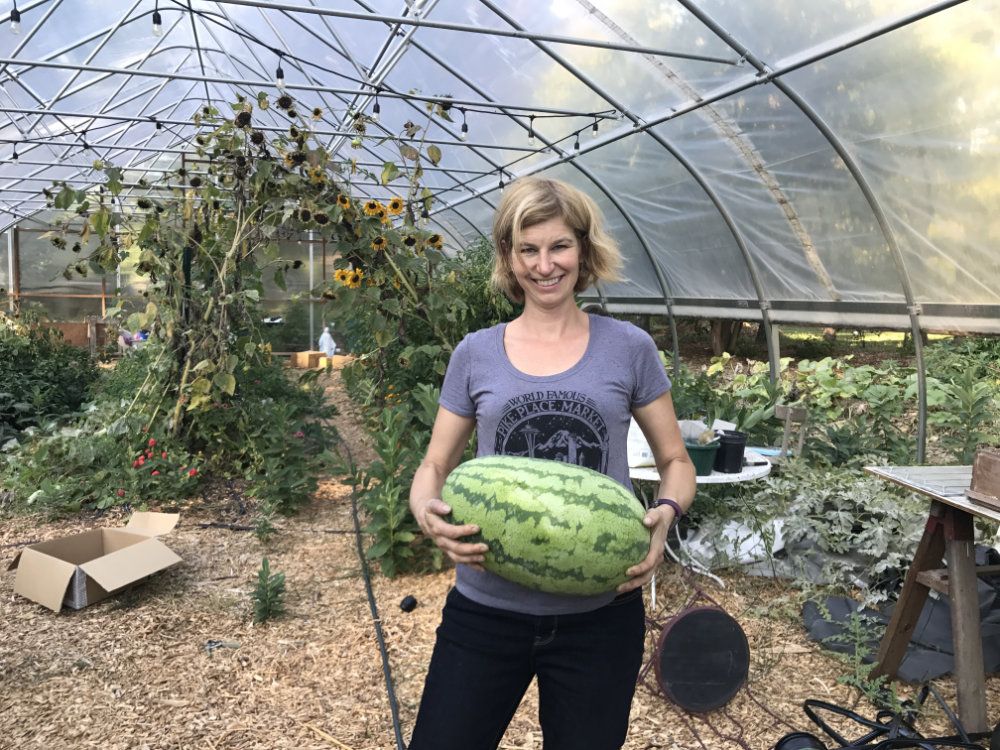Julie holds a huge watermelon in the hoop house.