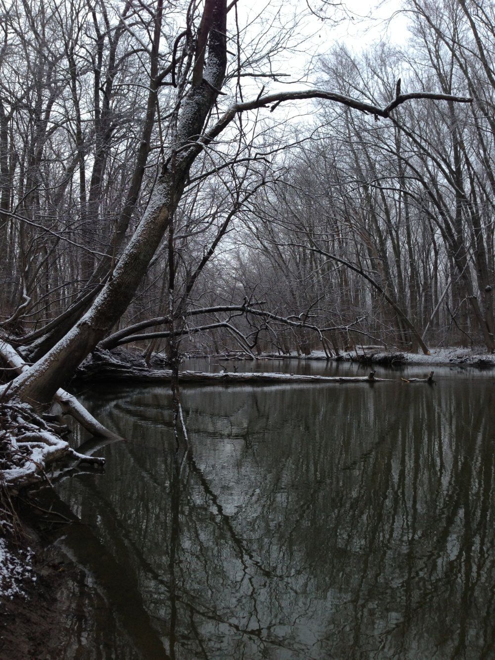 A tree leans over the beautiful Galien river in winter..