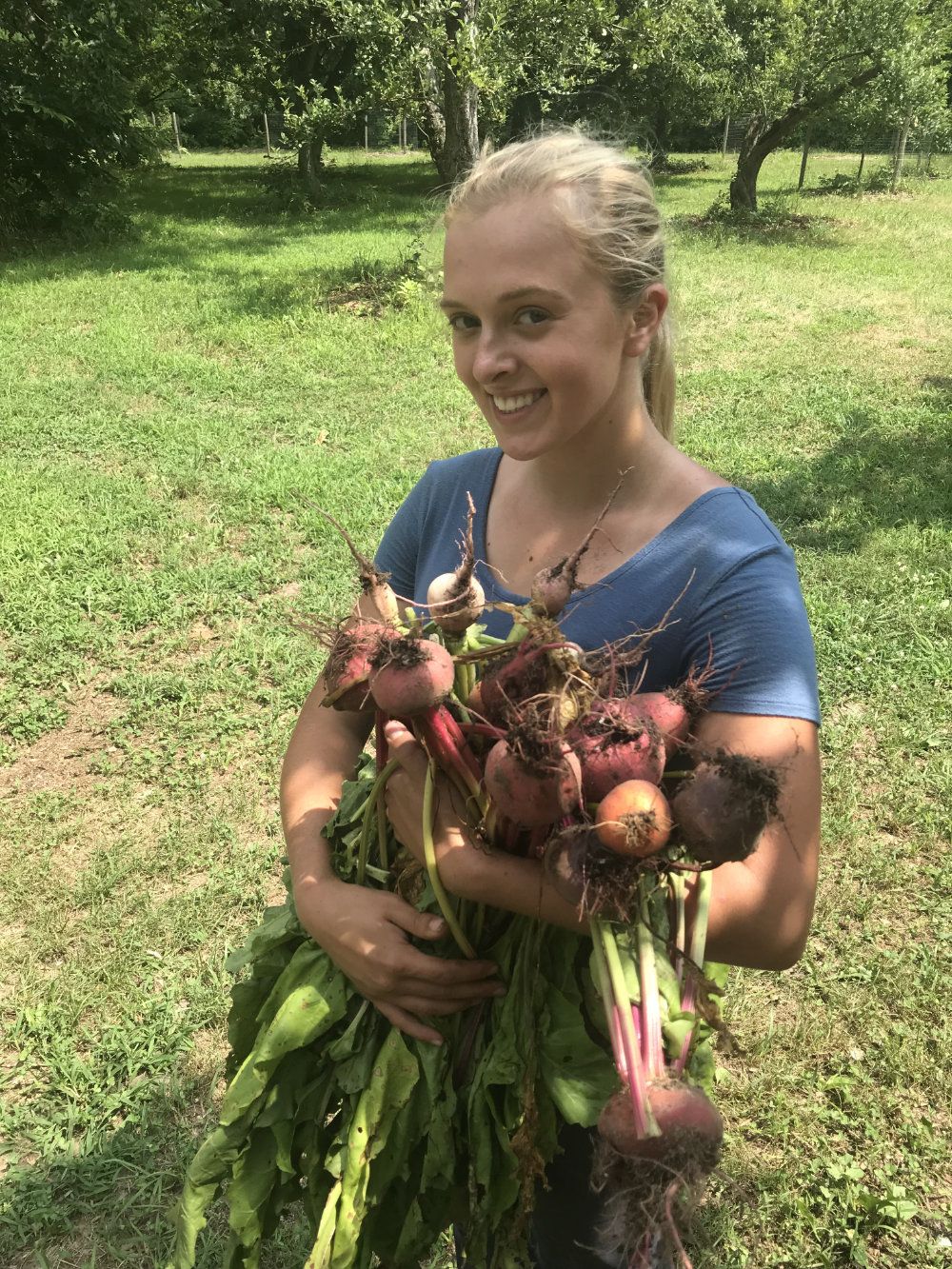 Haley, our agriculture intern in 2018, holds an armful of freshly harvested beets.