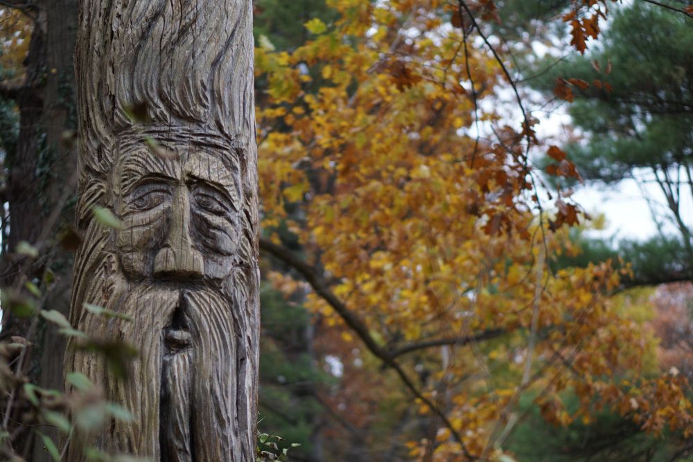 A wood carving of a face decorates a post in River's Edge's front yard.