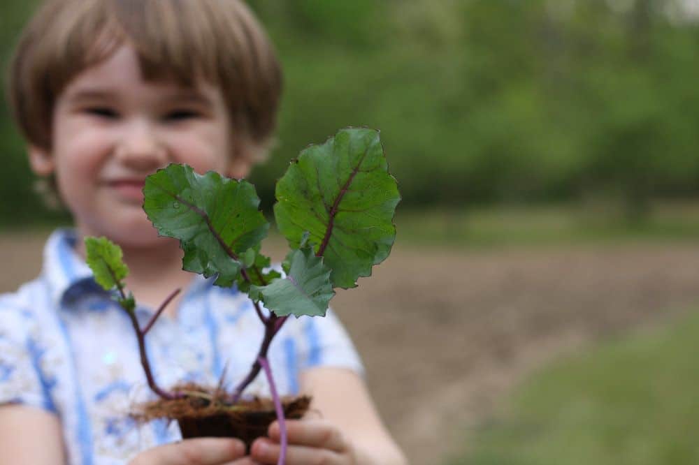 A toddler holds a baby plant.