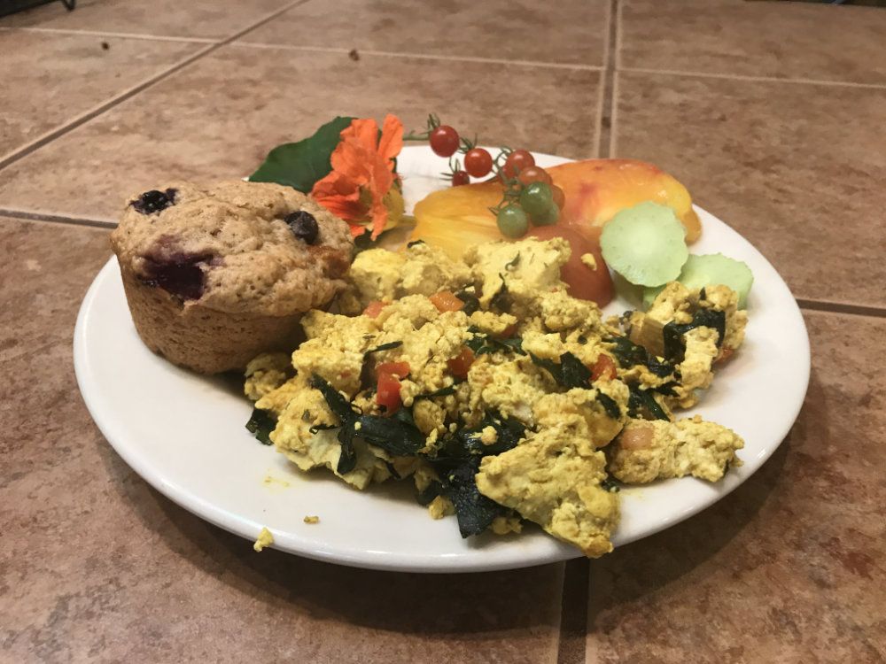 Vegan tofu scramble filled with Goldberry grown veggies is served with fresh heirloom tomatoes and a blueberry muffin.