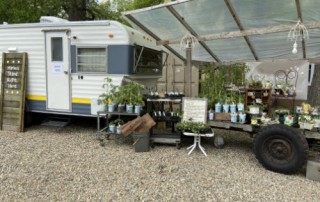Goldberry's Market is OPEN 1