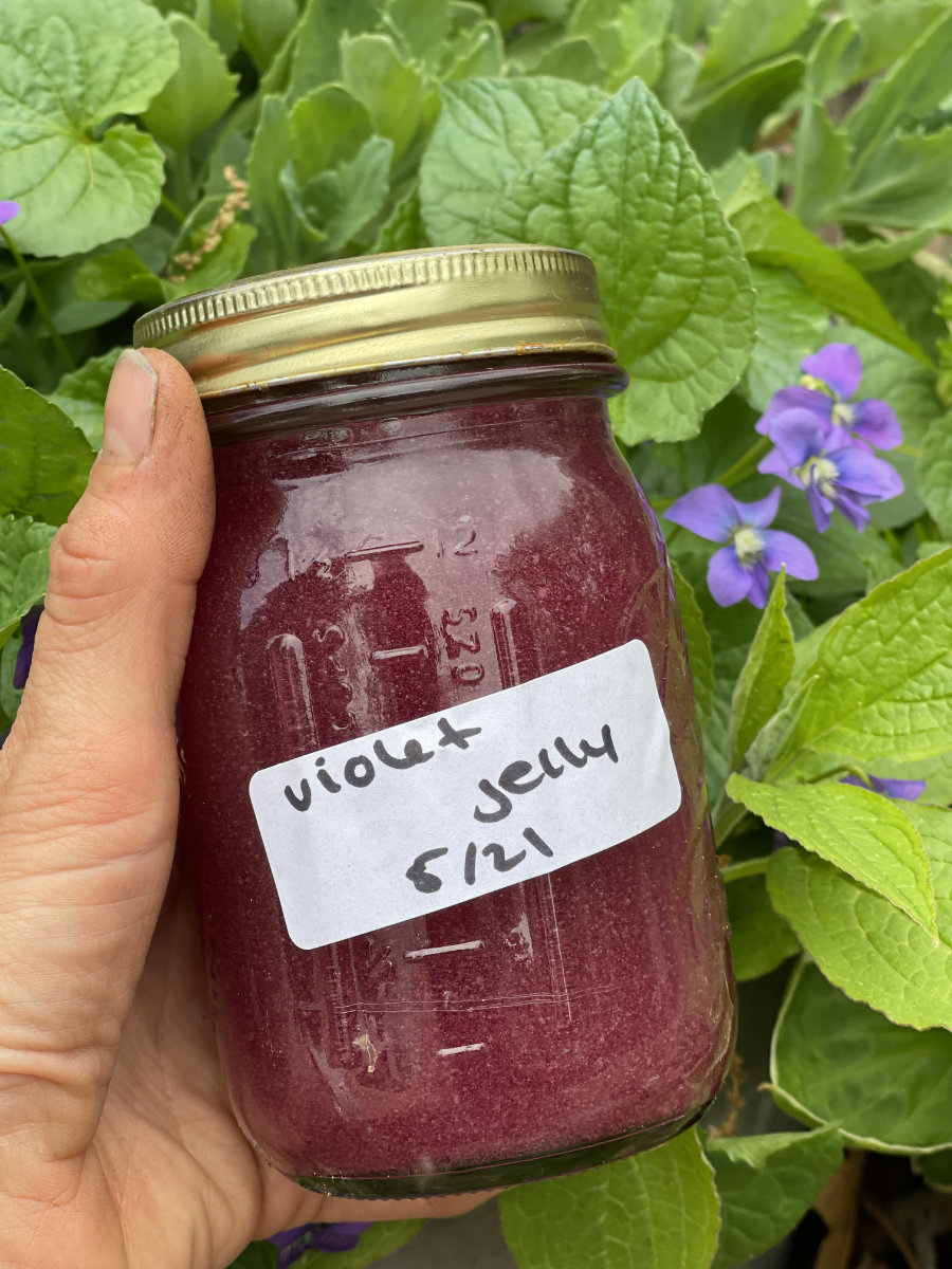 A hand holds a Mason jar full of homemade violet jelly in front of a violet flower.