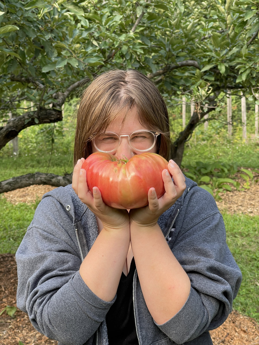 Charlotte, agriculture intern of two years, holds a huge heirloom tomato nearly the size of her head.