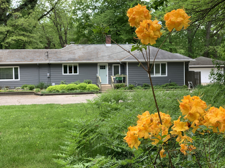 River's Edge house with beautiful orange rhododendrons in yard