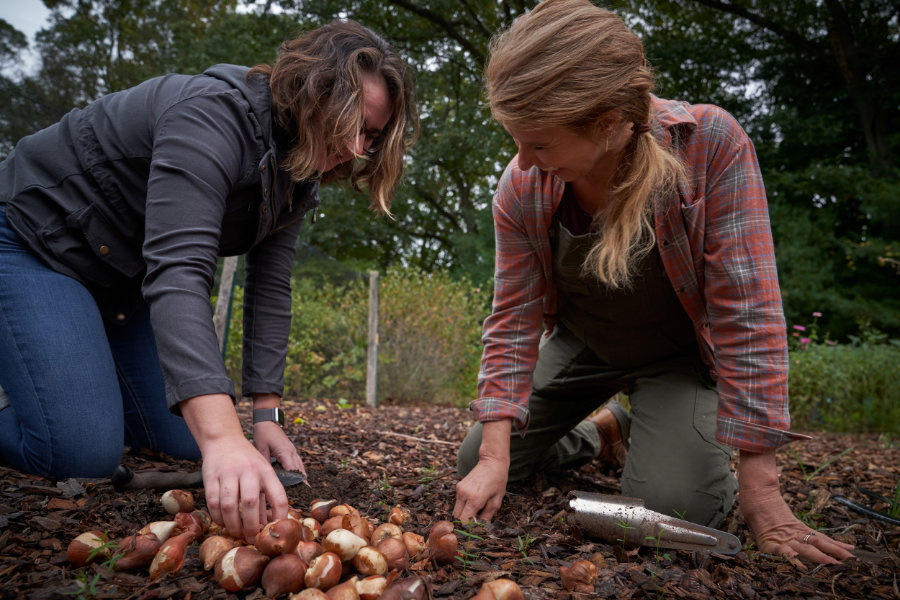 Julie and Carly plant potatoes on an overcast day.