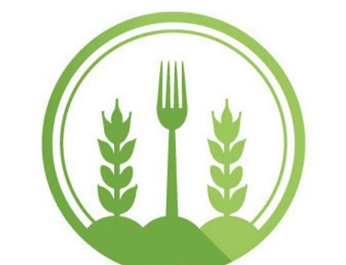 Michigan Agricultural Bed and Breakfast Offer a Unique Look Into Local Food Sources – Farm Flavor