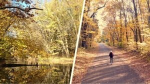 collage of autumn pond at goldberry woods, autumn trail with person riding a bike