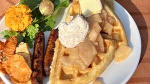farm to table breakfast at goldberry woods