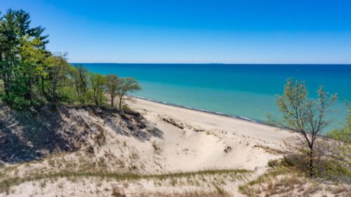 a beach at indiana dunes national park overlooking lake michigan