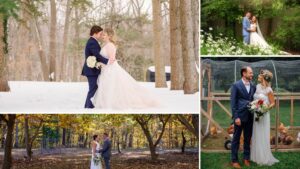 collage of brides and grooms in all four seasons