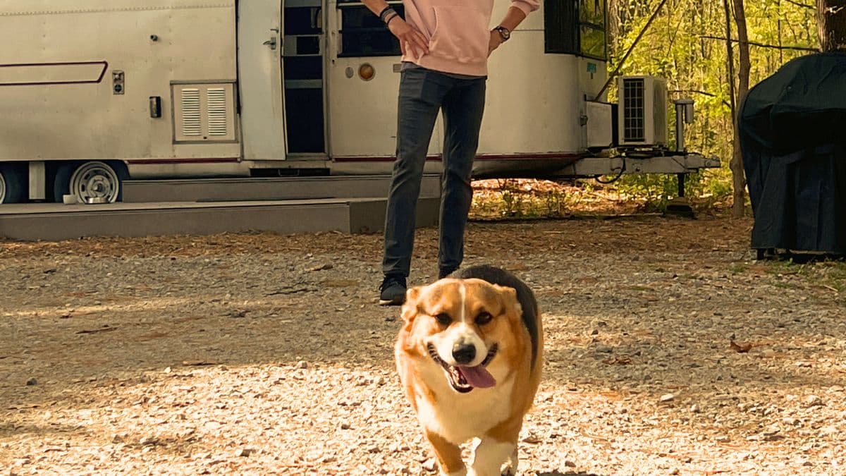 A person stands with hands on hips beside a white camper trailer while a happy brown-and-white dog runs toward the camera on a gravel site in the foreground.