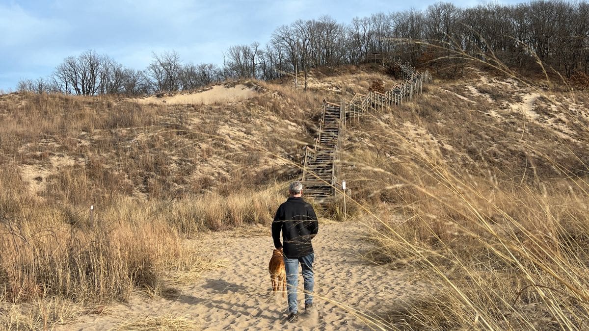 Eric from Goldberry Woods climbing the dune stairs at Indiana Dunes National Park
