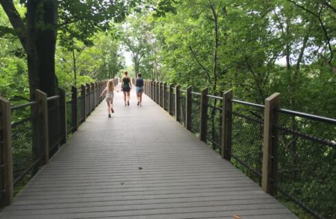 Three people walking down an elevated path surrounded by tall green trees