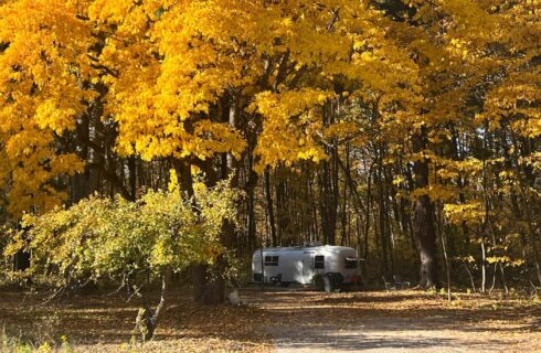 A large vintage airstream camper nestled among tall fall colored trees