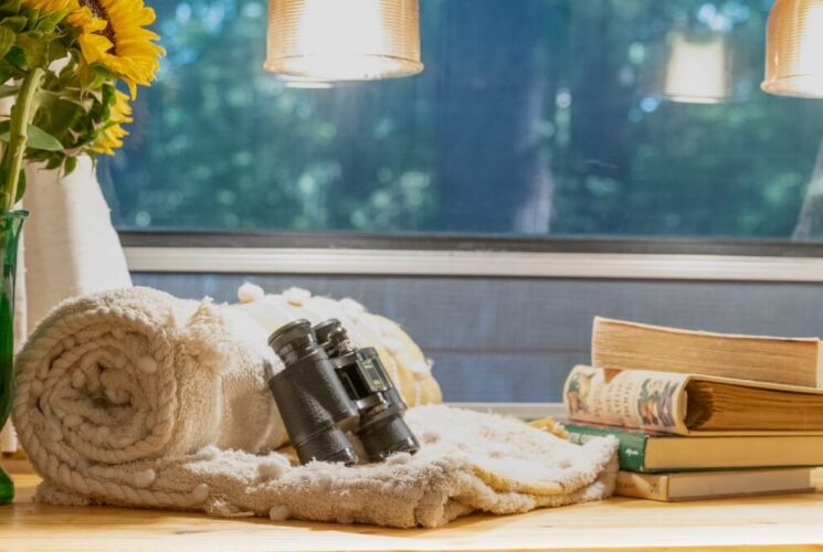 Green vase with sunflowers, rolled up blanket with binoculars and stack of books in front of a window