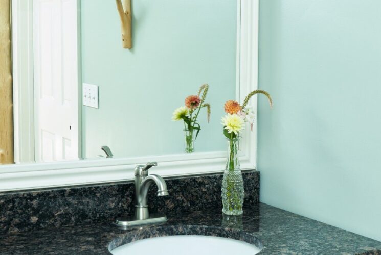 Bathroom with granite sink vanity, large mirror and small vase of flowers