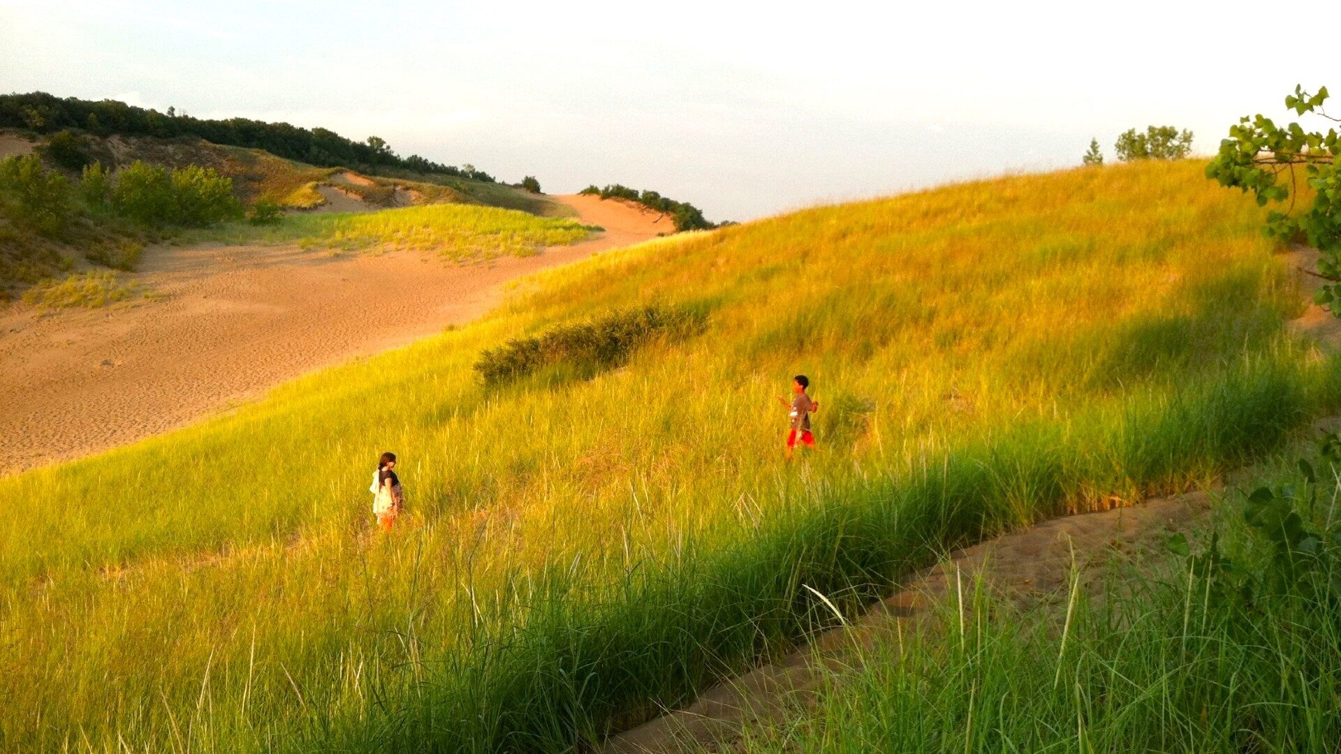 People walking in an expansive grassy dune area near a beach