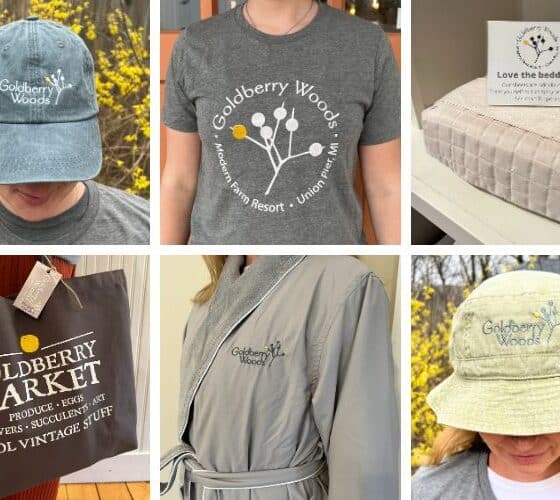 A collage of pictures showing various items that can be bought at an inn