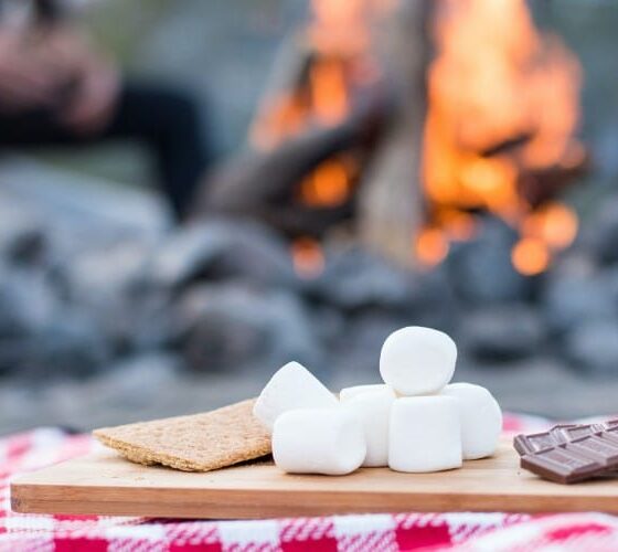 Graham crackers, marshmallows and chocolate on a wood tray atop a red and white checkered blanket