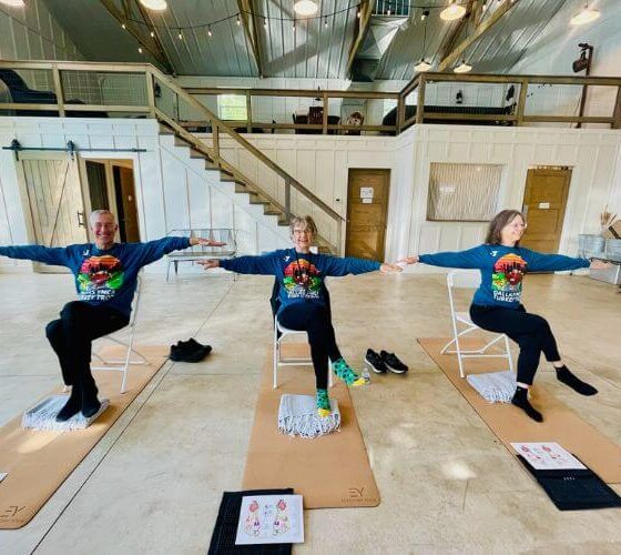 three people sitting in chairs on mats in large room doing chair yoga.
